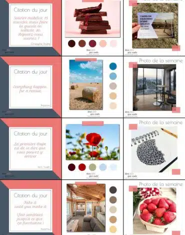 feed instagram vertical profil professionnel Instagram