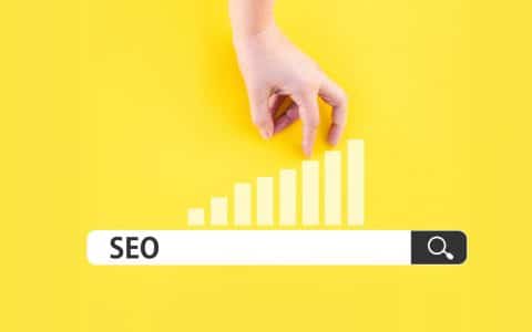 référencement organique naturel SEO