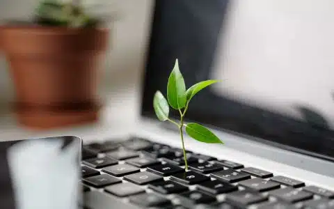 Création de site internet éco responsable