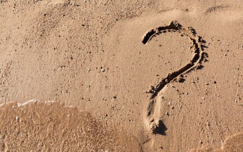 SEO vs SEA : quelle stratégie pour une entreprise à Tours