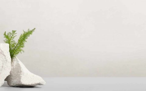 astuces site internet éco responsable