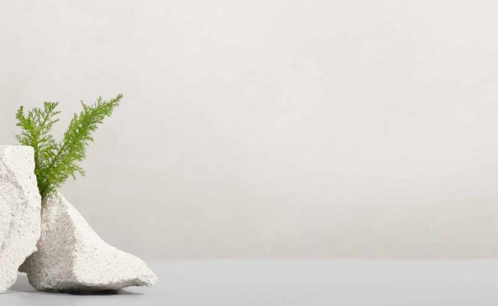 Vignette article site internet éco-responsable